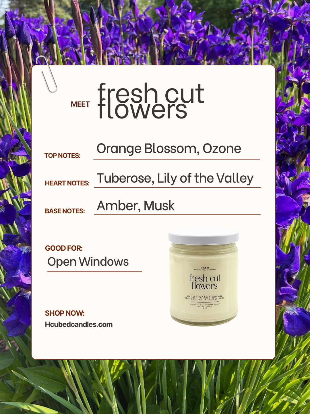 Fresh Cut Flowers - Hcubed Candles