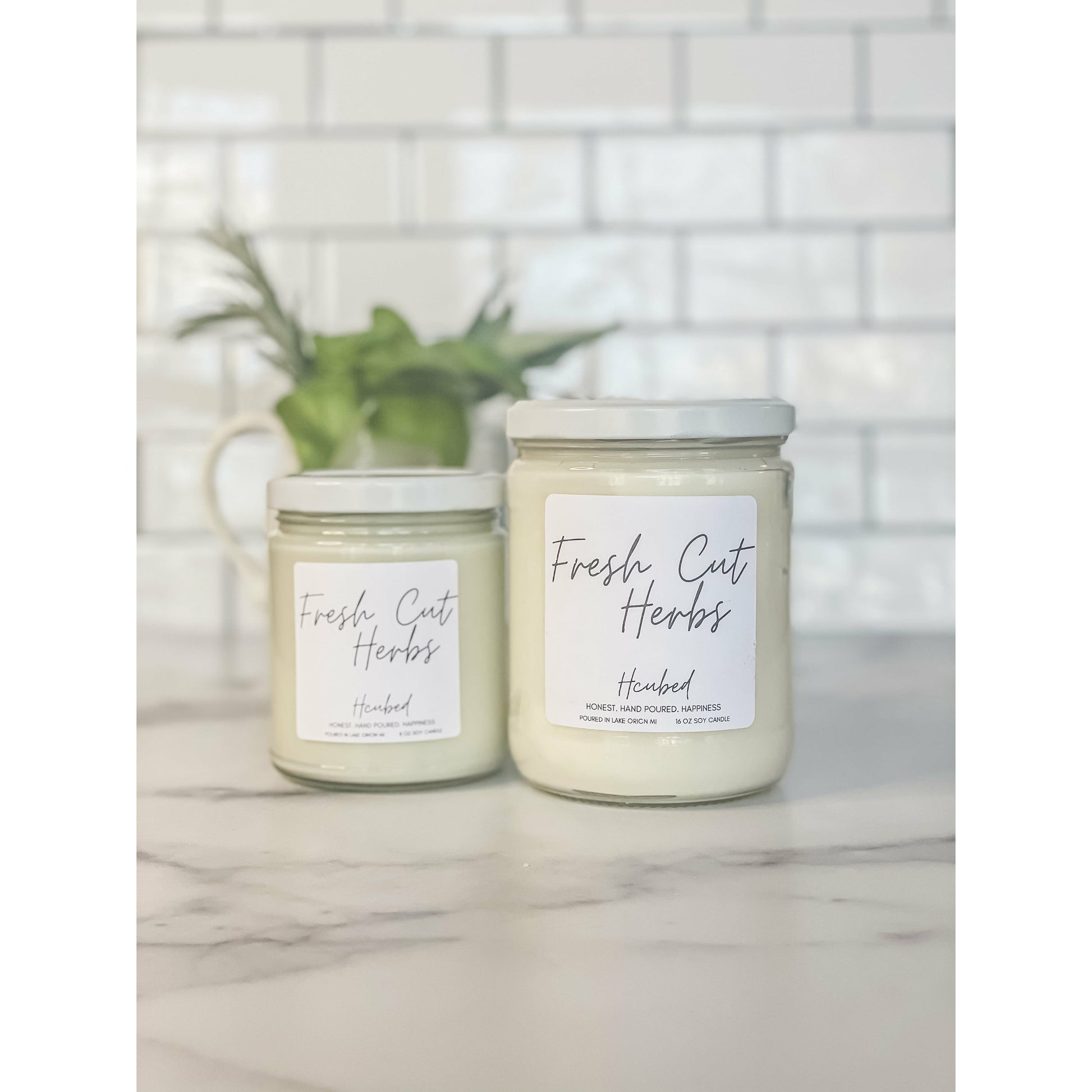 Fresh Cut Herbs - Hcubed Candles